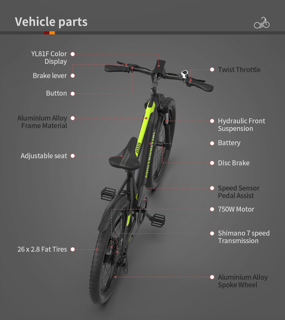 AOSTIRMOTOR PRINCE 750 WATT E-BIKE