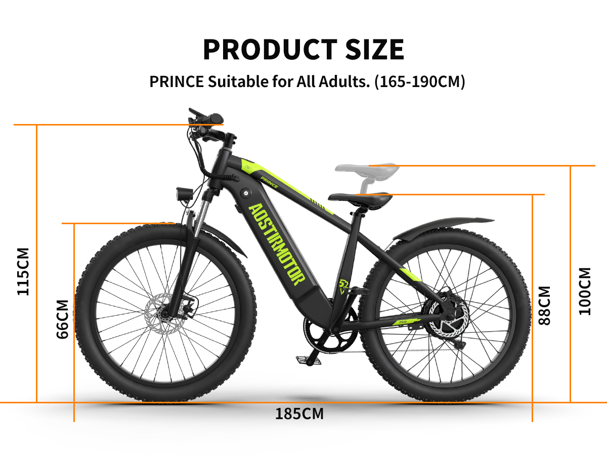 AOSTIRMOTOR PRINCE 750 WATT E-BIKE