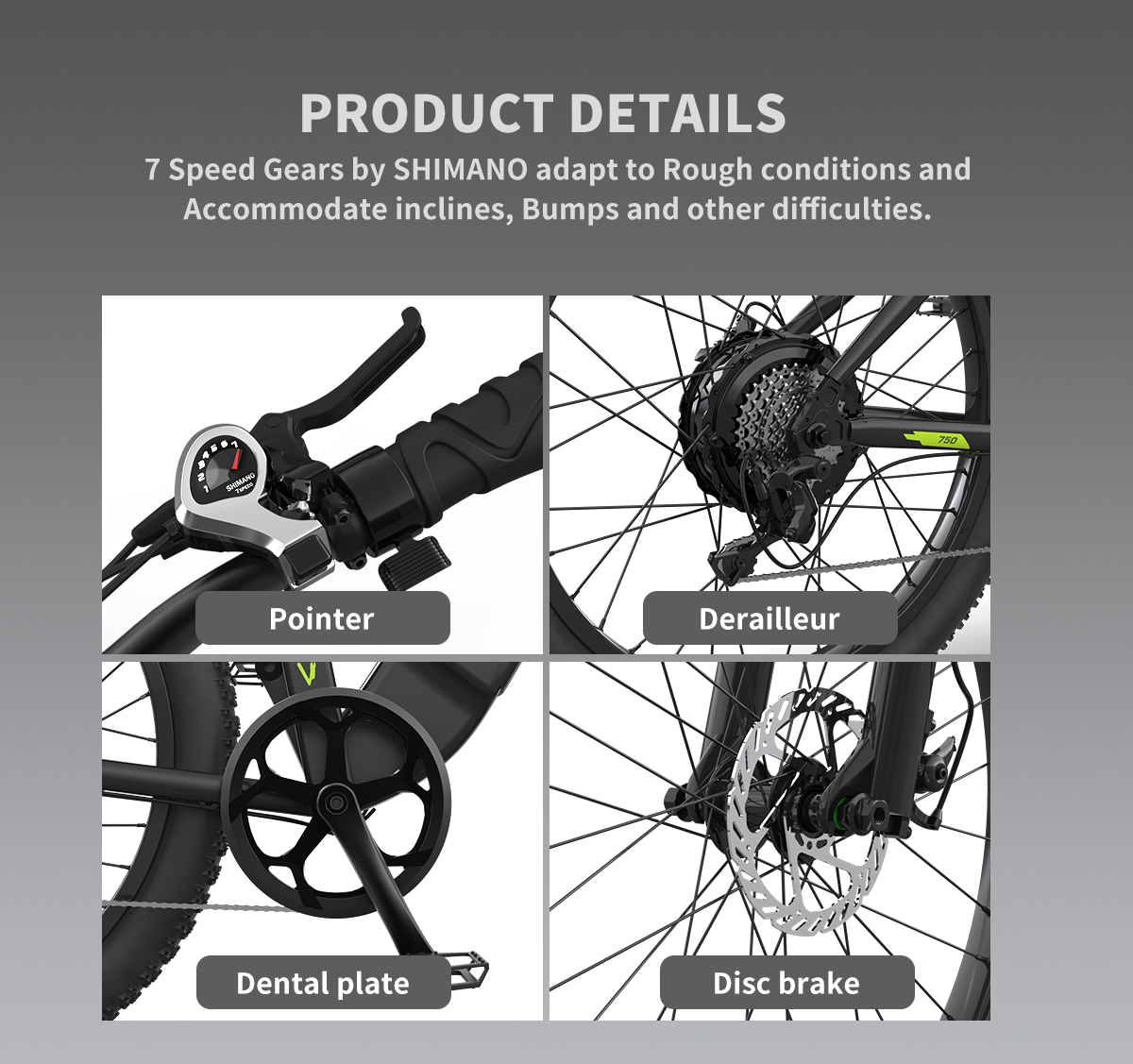 AOSTIRMOTOR PRINCE 750 WATT E-BIKE