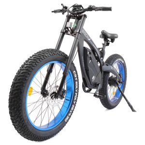 ECOTRIC BISON 1000 WATT E-BIKE